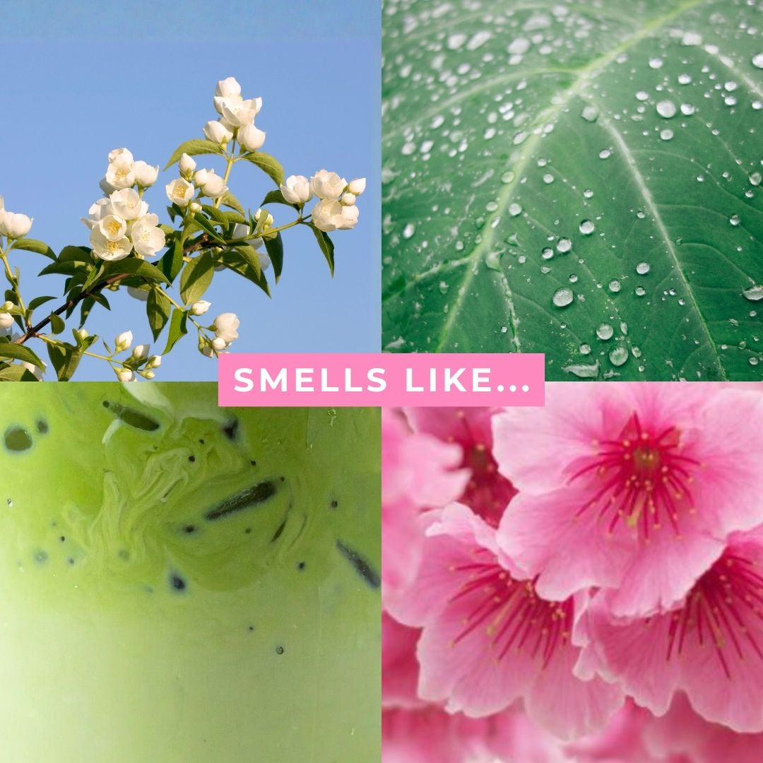 NEW Jasmine Matcha Shampoo & Conditioner Bundle
